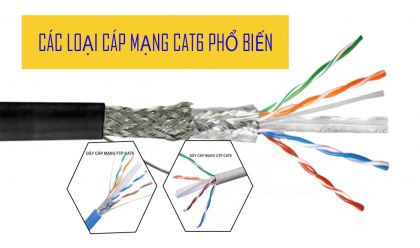 Các loại cáp mạng Cat6 phổ biến