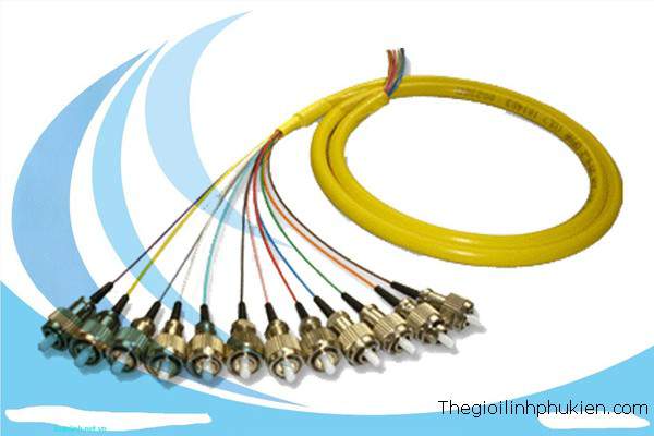 Dây nhảy quang FC-ST Single-mode, PATCHCORD-FC/ST-SM Dây nhảy quang FC-ST Single-mode, PATCHCORD-FC/ST-SM